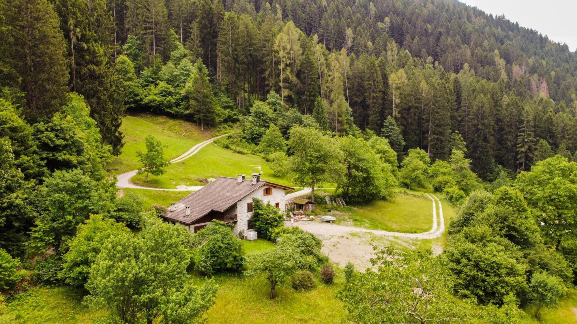Luxury Chalet Dolomiti-Campiglio-Trentino Porte di Rendena Bagian luar foto